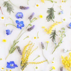 Meet your Posher, Melanie